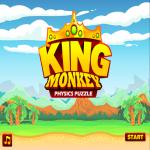 King Monkey Physics Puzzle