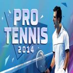 Pro Tennis 2014